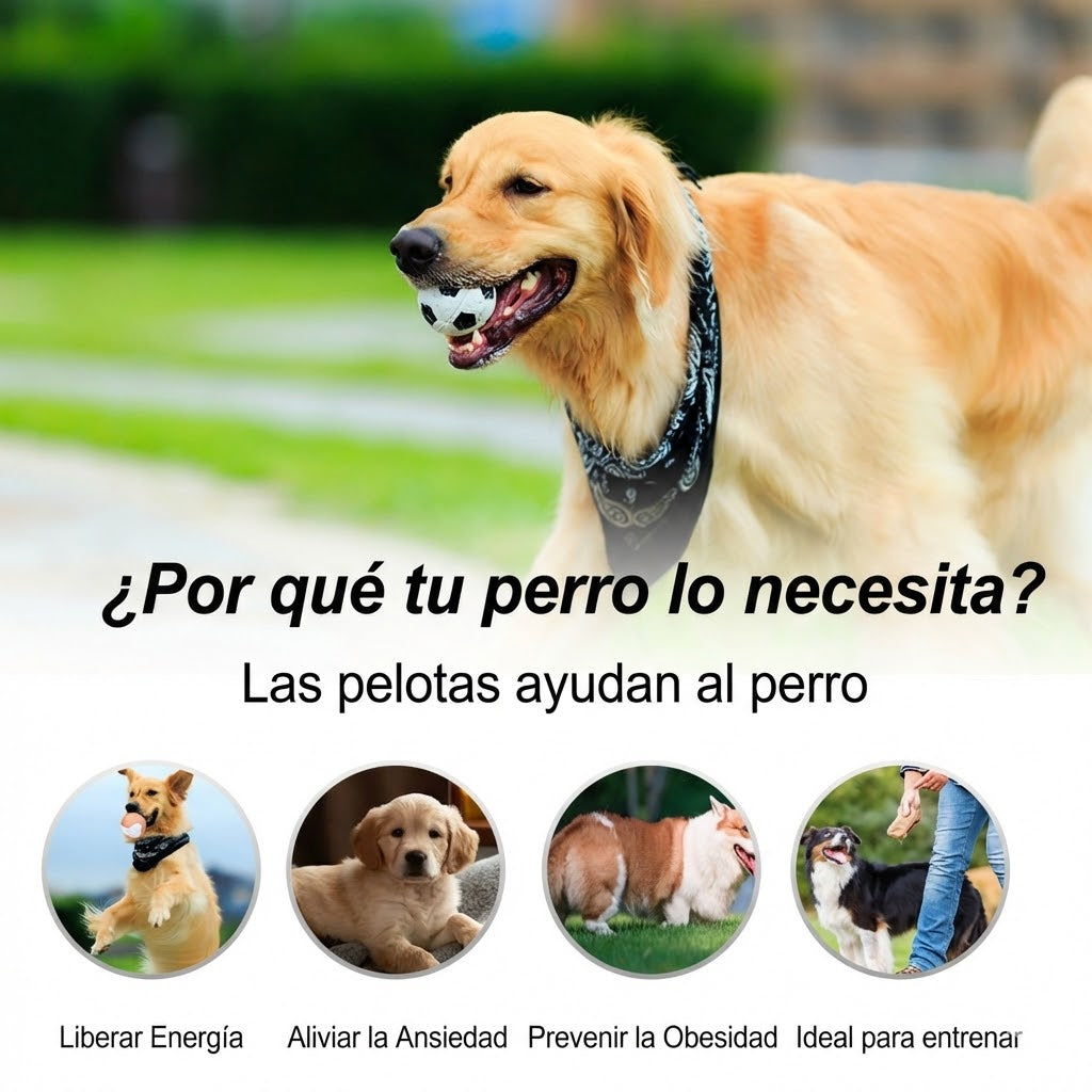 FurZap™ Mega-Pack: 12 Pelotas de Goma Maciza "High-Rebound"